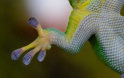 Professional Development that Sticks: Teaching Psych secrets that create ROI