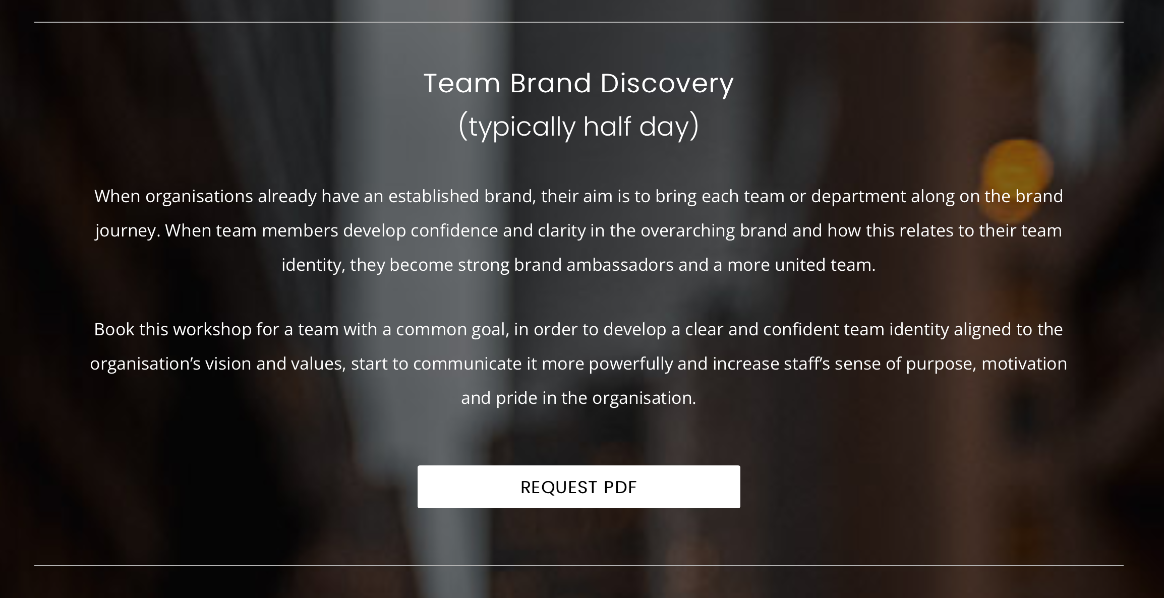 Team Brand Discovery promo Brand Culture Advisor Julissa Shrewsbury